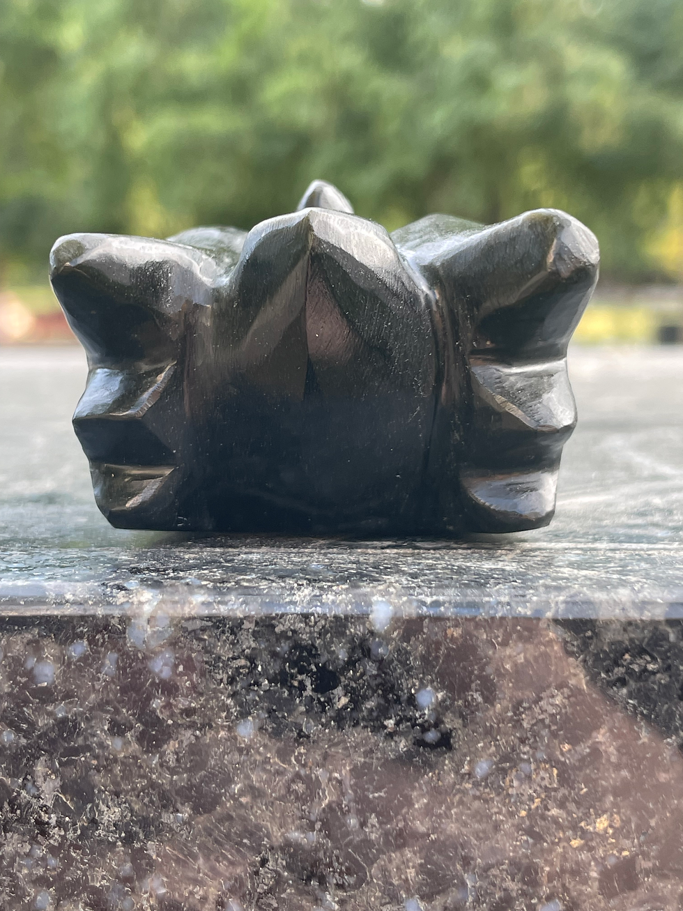 الصورة المصغرة: Gold Sheen Obsidian Dragon 