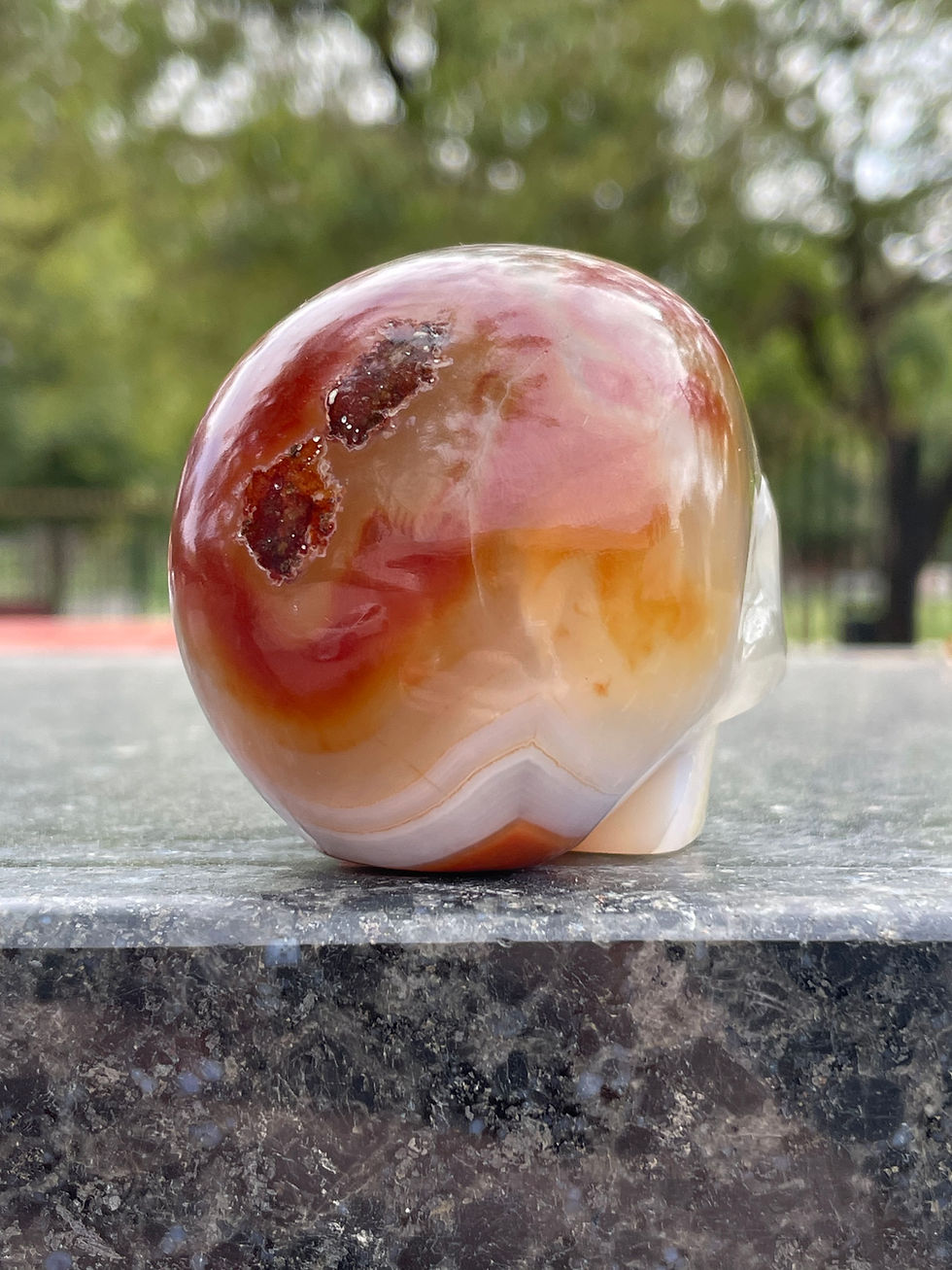 Miniatura: Carnelian Skull 