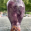 Μικρογραφία: Fluorite Arcturian 