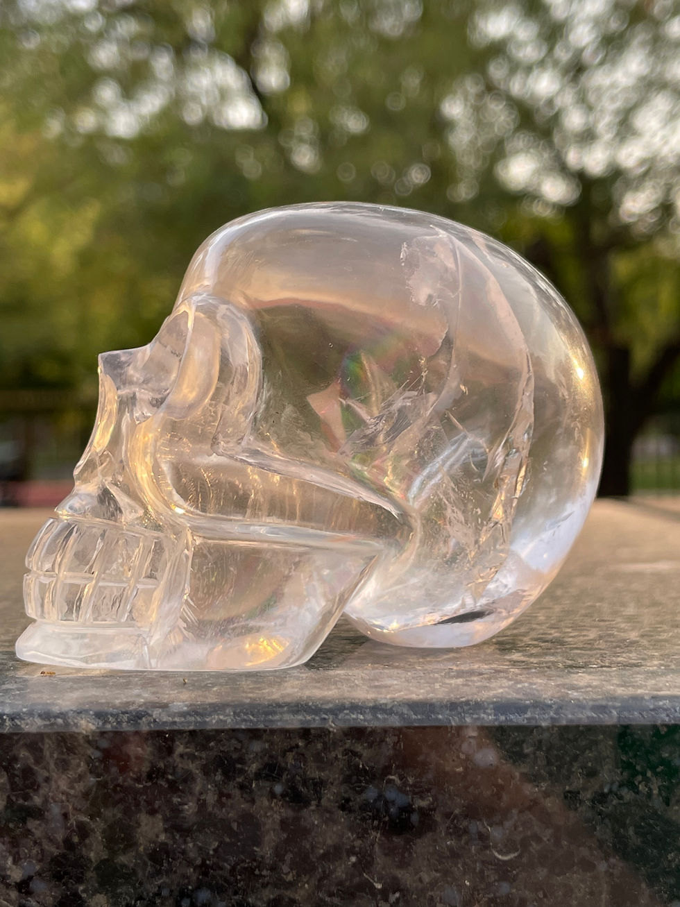Miniatura: Himalayan Quartz Skull (Huge Rainbow)