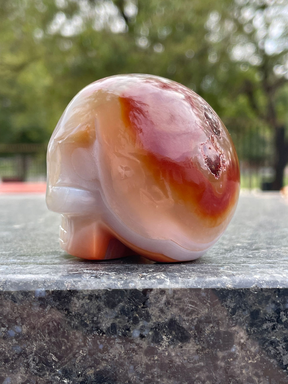 Miniatura: Carnelian Skull 