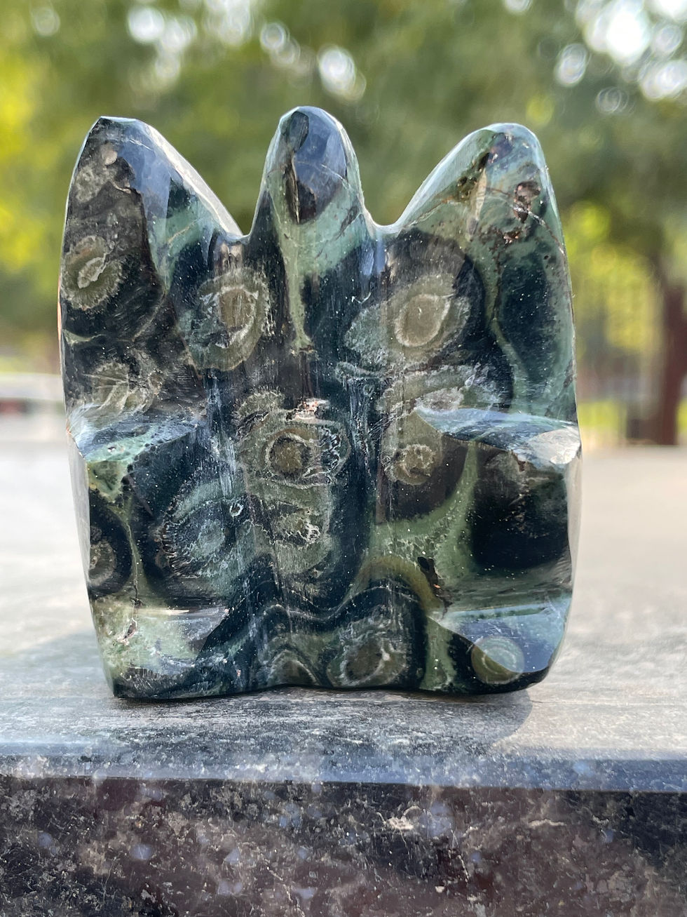 Miniaturbild: Kambaba Jasper Dragon 