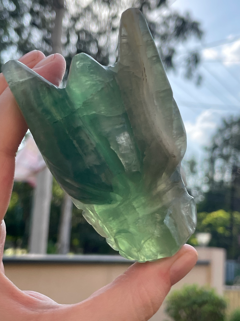 الصورة المصغرة: Green Fluorite Dragon 