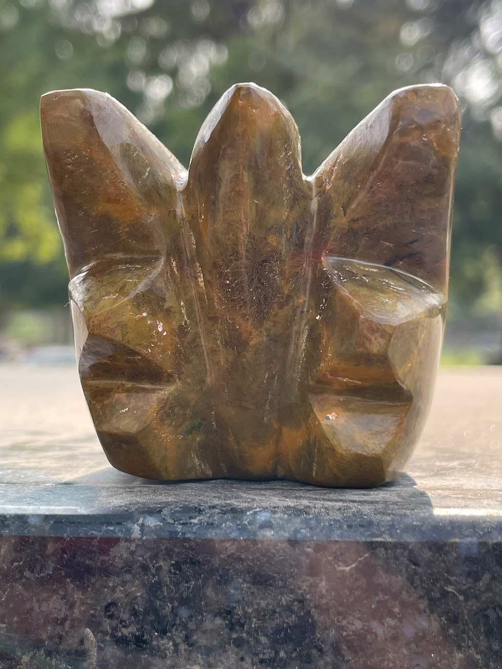 الصورة المصغرة: Ocean Jasper Dragon 