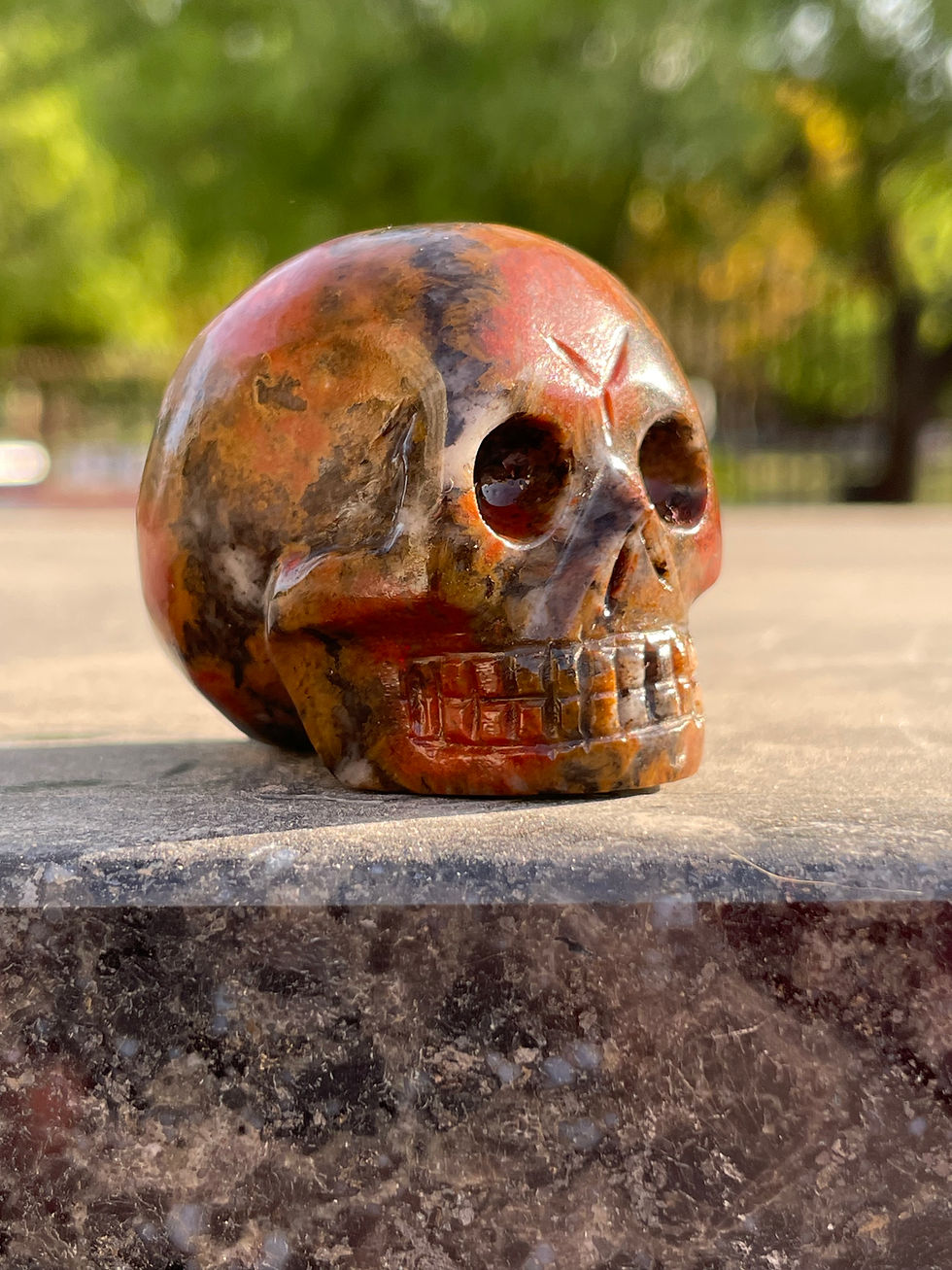 Miniatura: Cobra Jasper Skull 