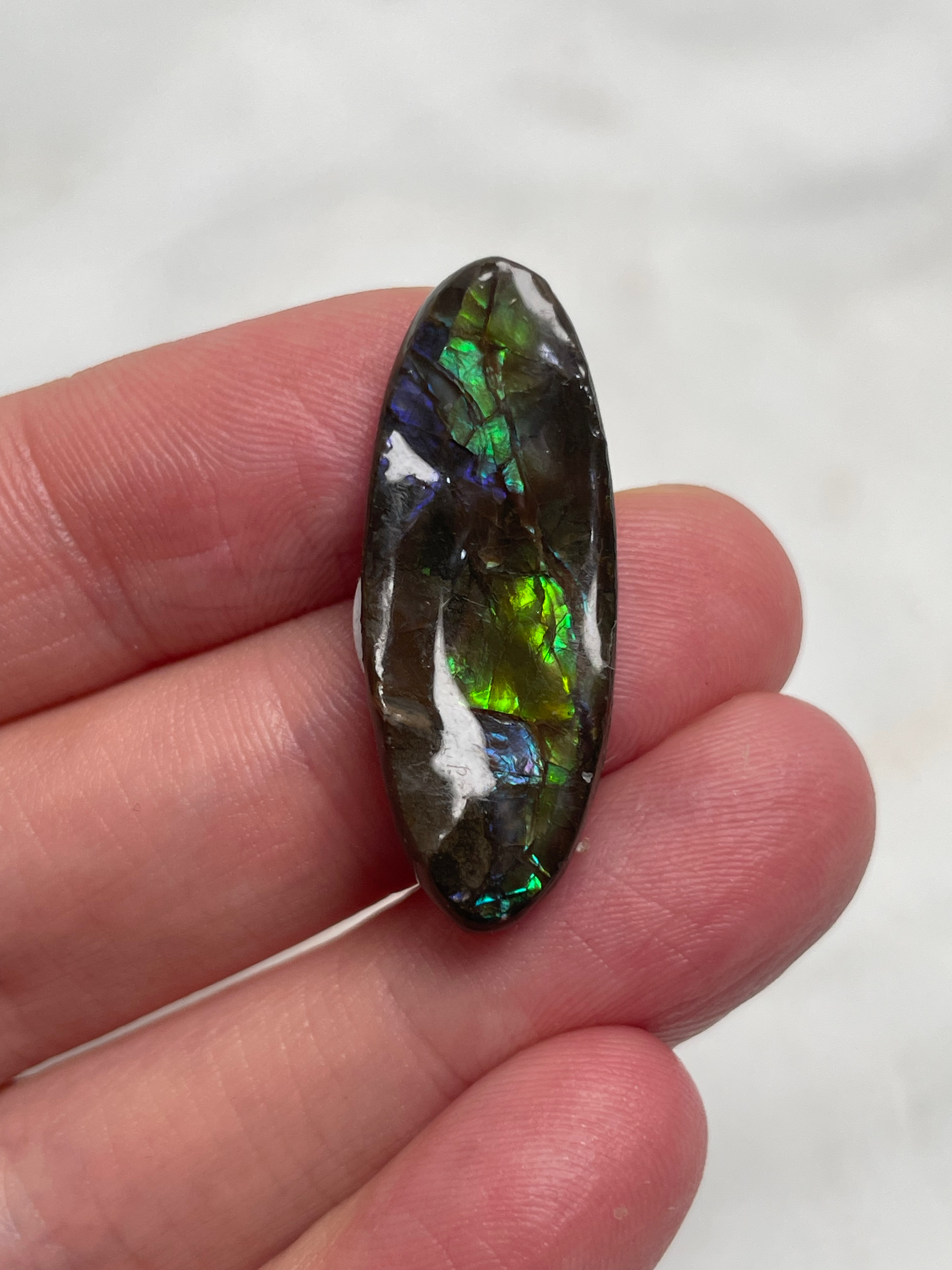Ammolite 