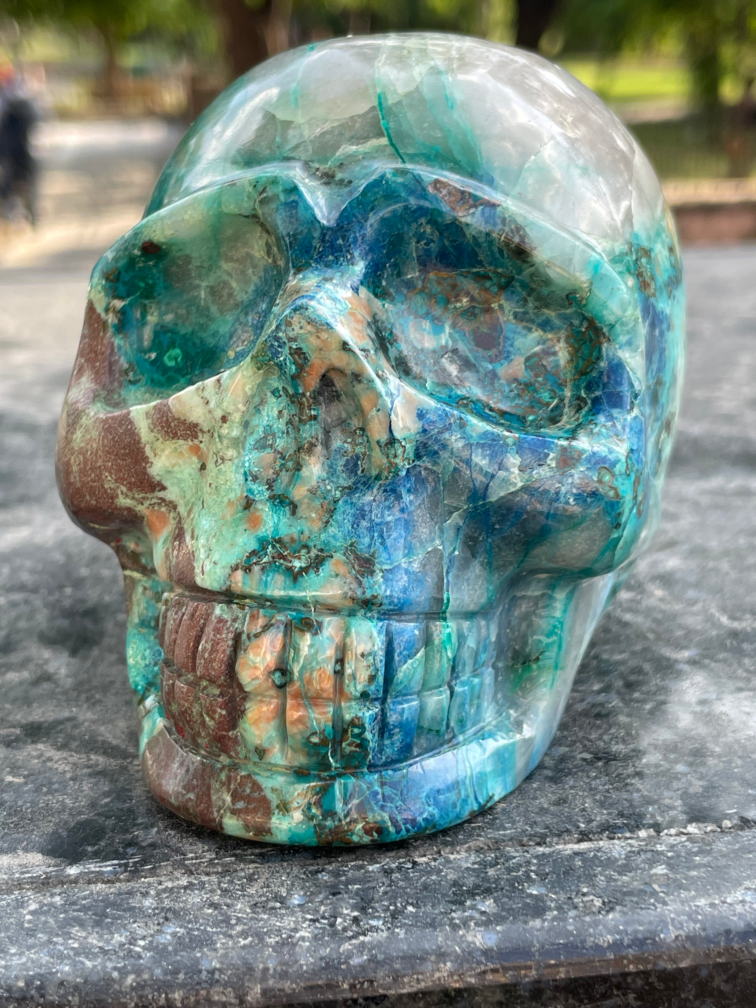 Quantum Quattro Skull