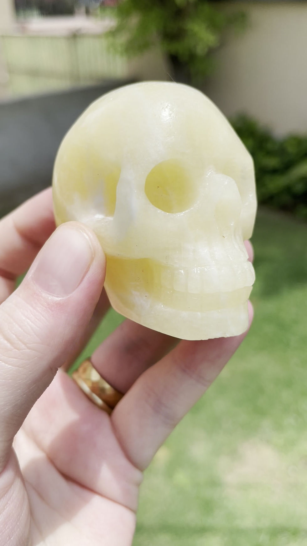 الصورة المصغرة: Yellow calcite skull
