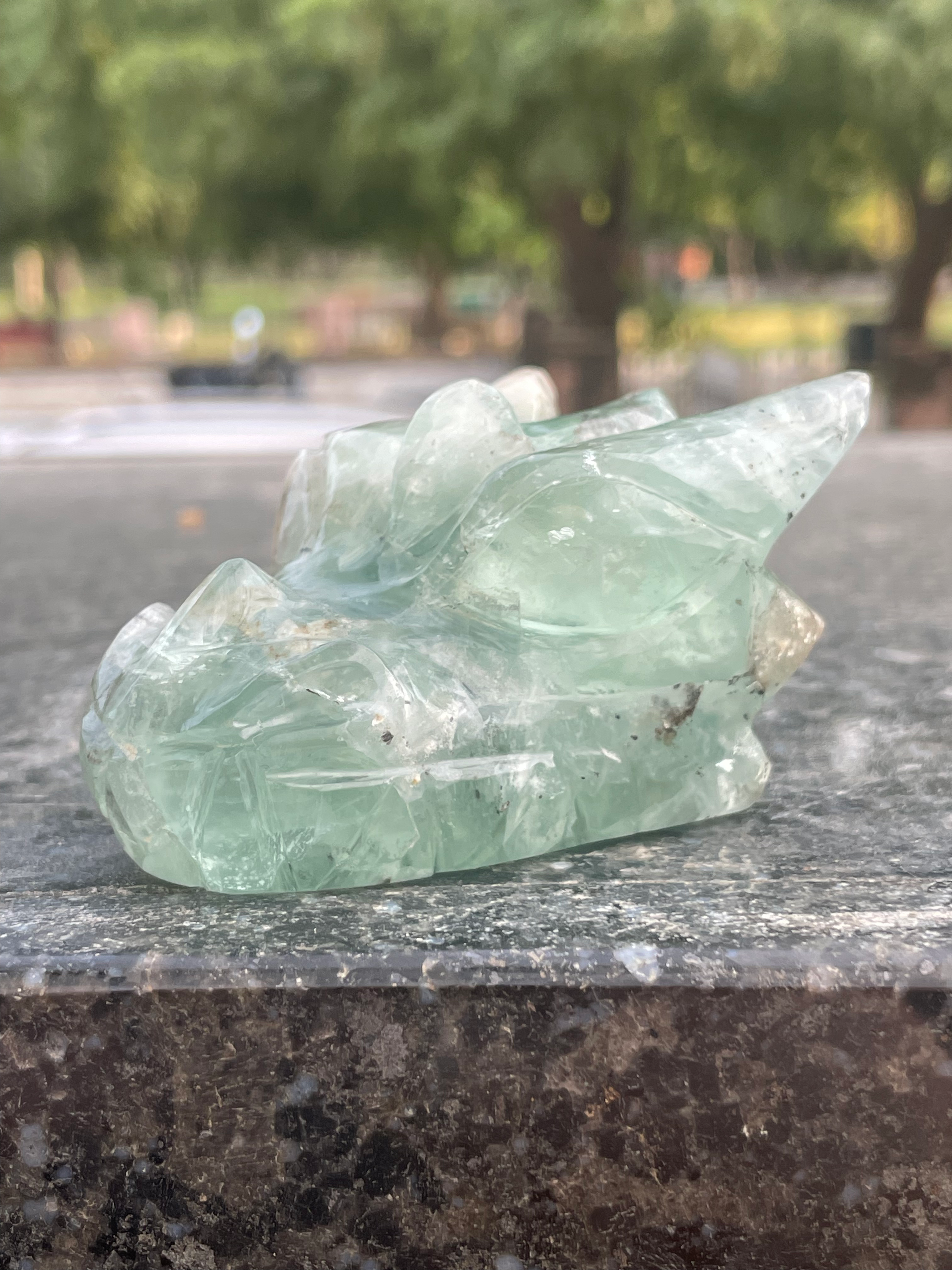 Mexican Fluorite Dragon