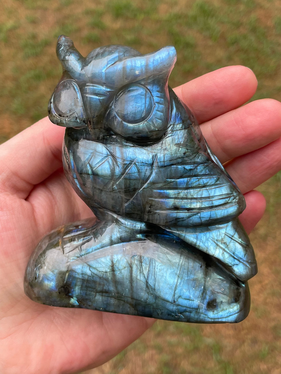 縮圖：Labradorite Owl