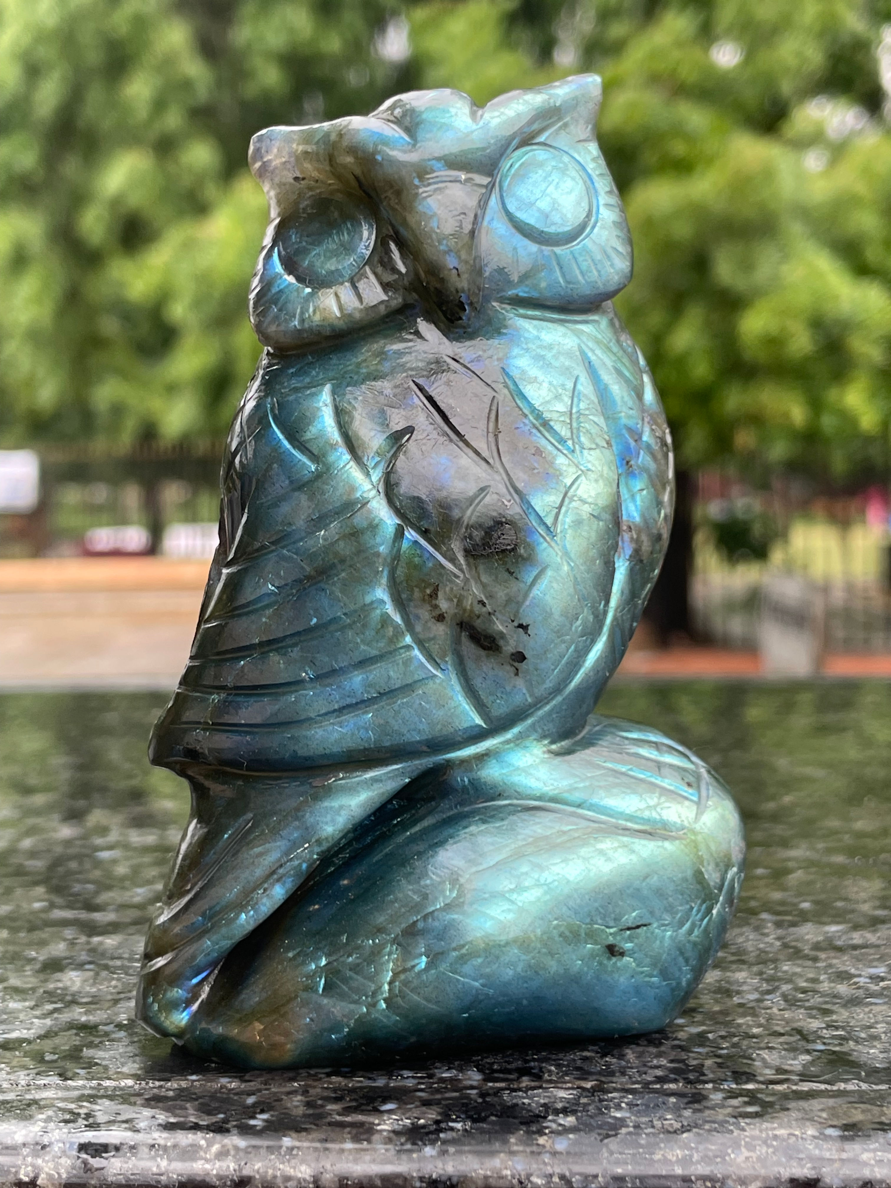 Labradorite Owl