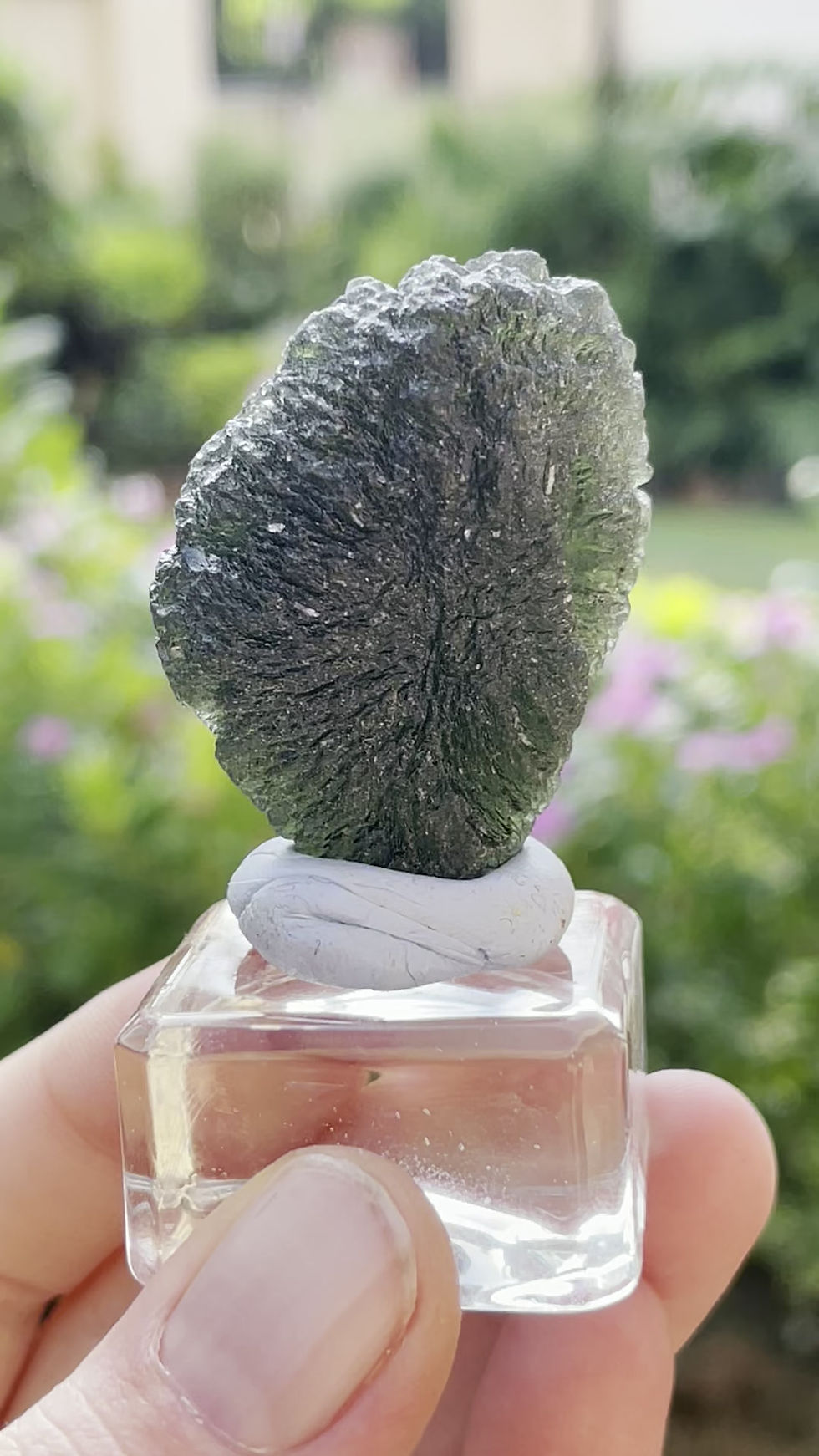 縮圖：Moldavite 