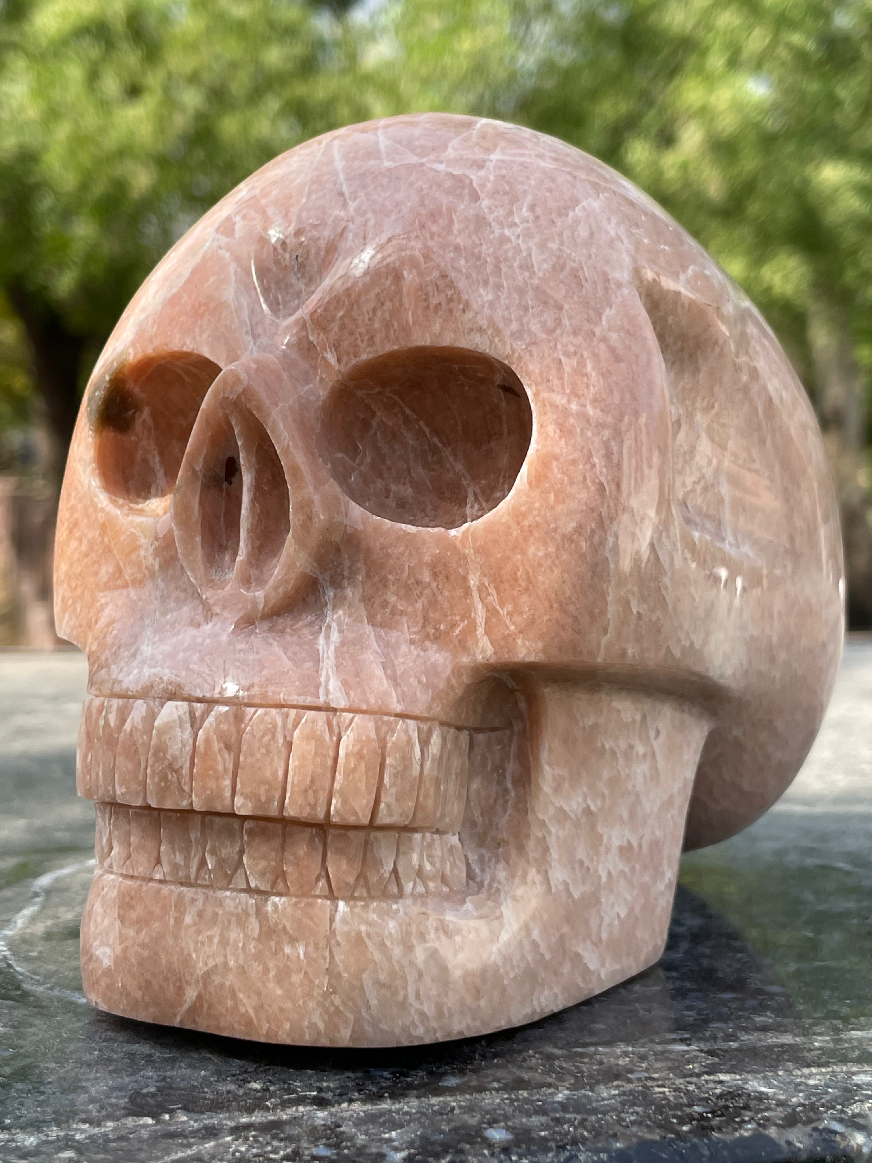Peach Amazonite Skull