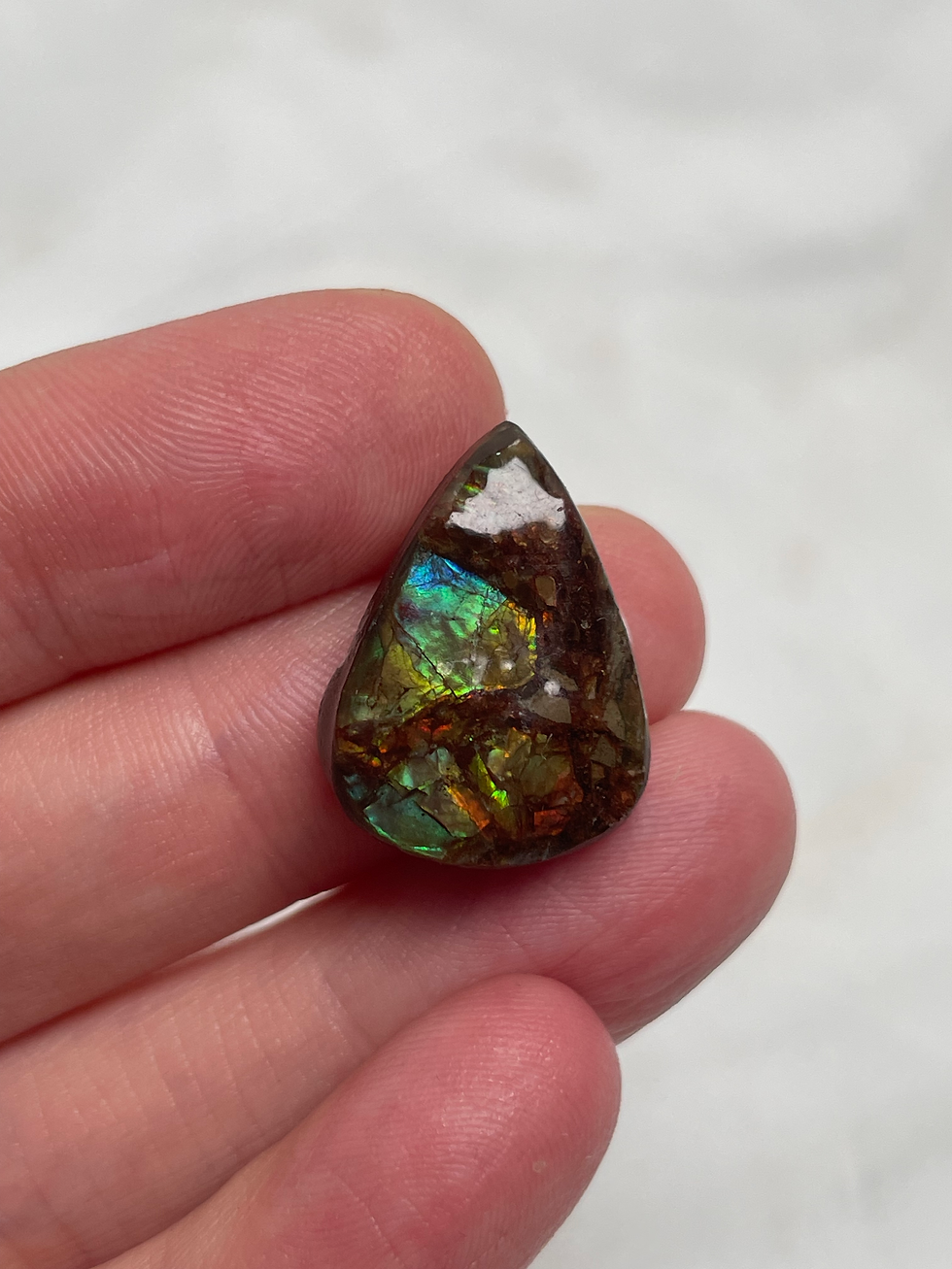 Ammolite