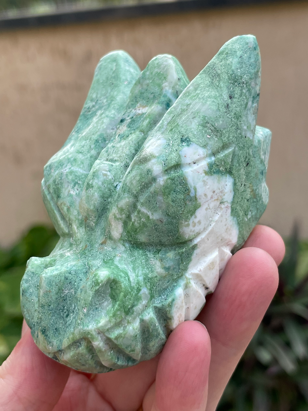 الصورة المصغرة: Australian Green Opal Dragon 