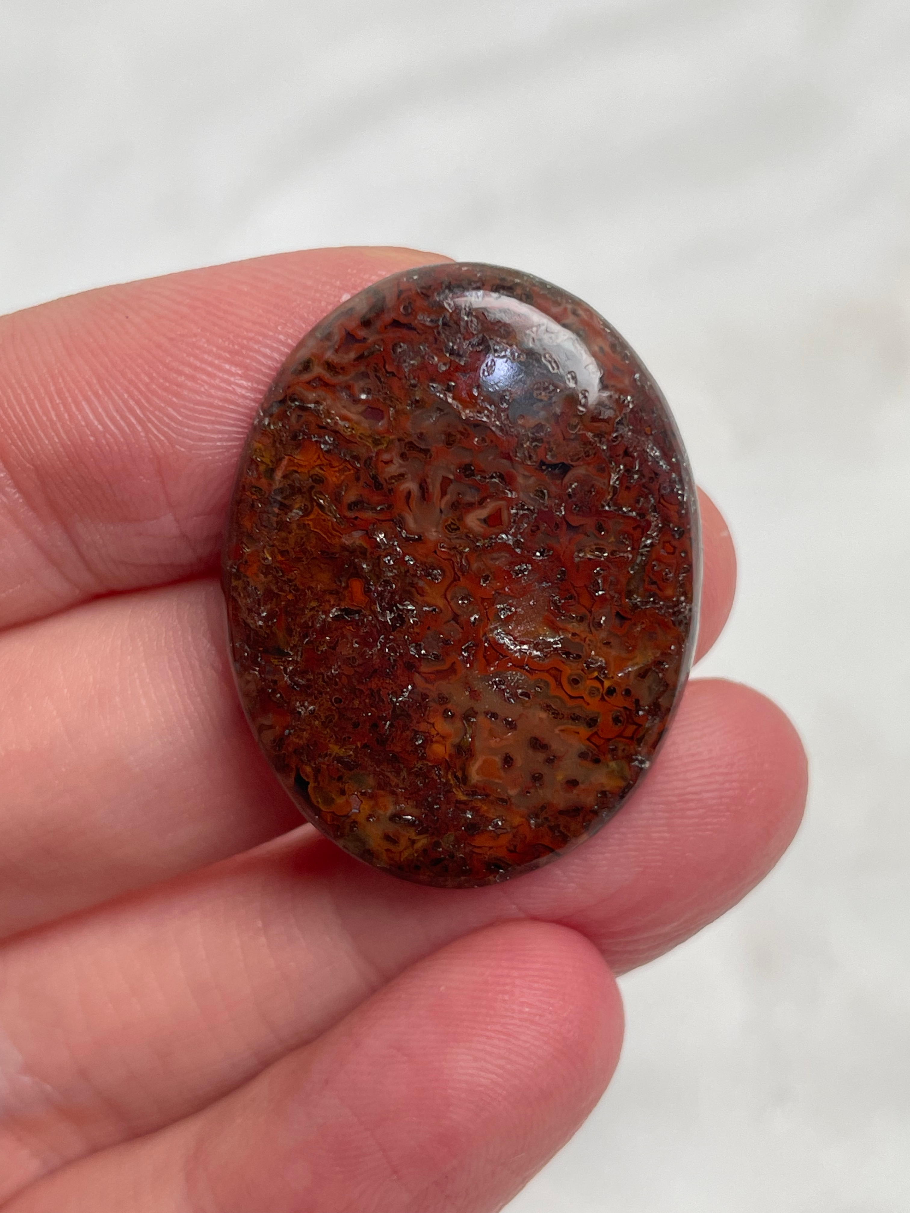 Agatised Dinosaur Bone 