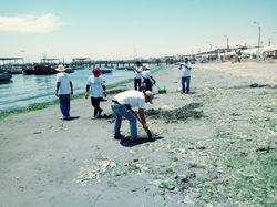 Voluntariado Green Passion ONG