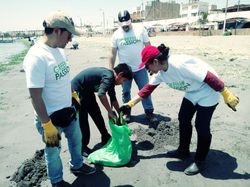 Voluntariado Green Passion ONG