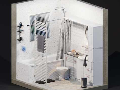 Bathroom Renovation - 3D Mockup