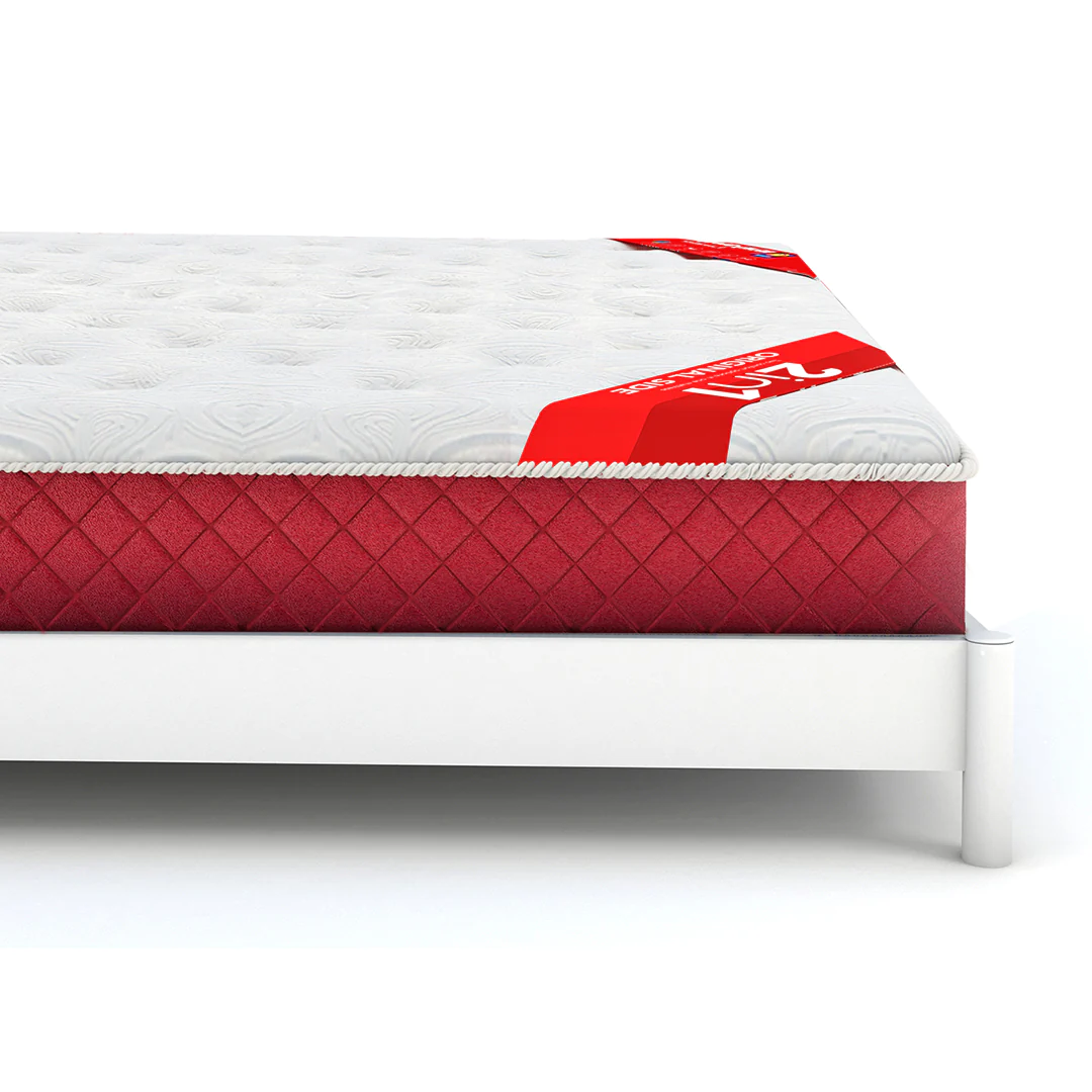 Molty Sleep Executive 2in1 MoltyFoam Islamabad
