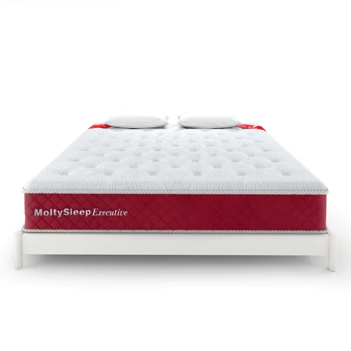 Molty sleep cheap