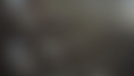 Fälle archivieren - 1x schnell und 1x auf ein Datum in der Vergangenheit