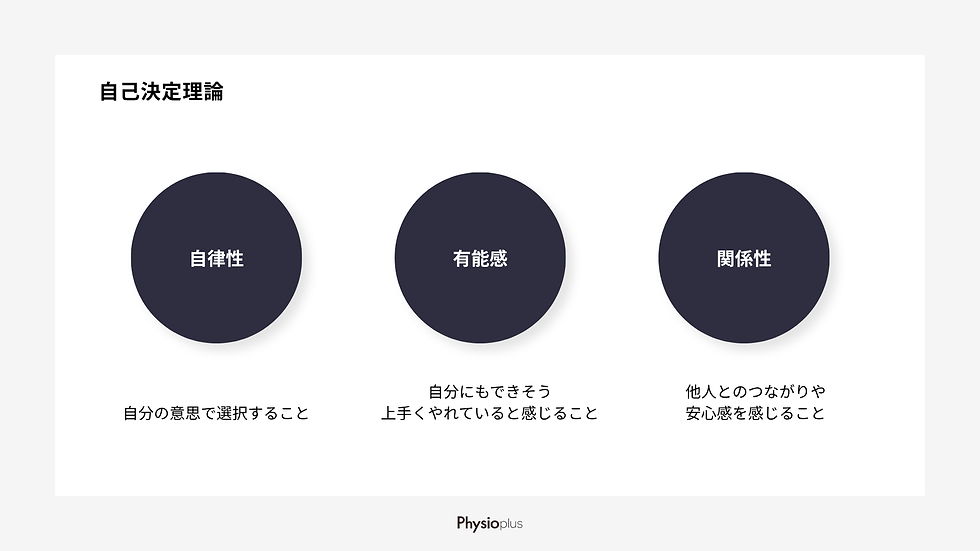 自己決定理論の図。白背景に自律性・有能感・関係性の3つの円が並び、下に各説明文。Physioplusロゴ。