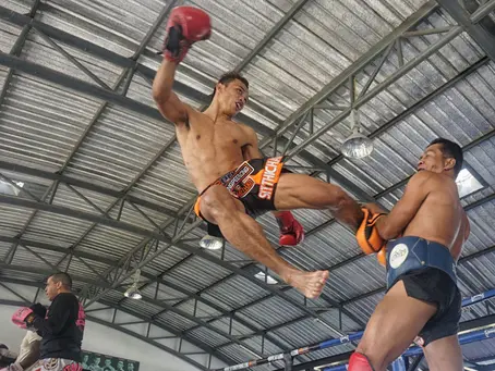 The Ultimate Edge: How Training Camps Mold Champions in MMA