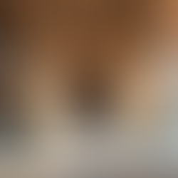 The Life and Legacy of Safi-ad-Din Ardabili the Founder of the Safavid Dynasty