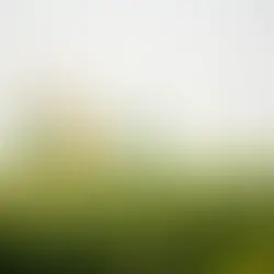 The Unfolding Impact of the Syrian Civil War on Kurdish Territories: A Deep Dive