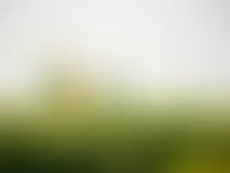 The Unfolding Impact of the Syrian Civil War on Kurdish Territories: A Deep Dive