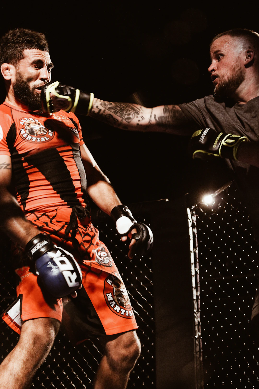 Future Stars of MMA: Who to Watch in the Next Decade