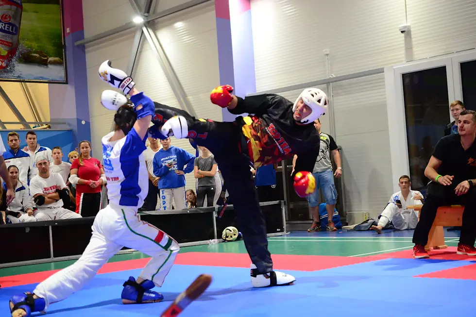 The Thrill of the Cage: Understanding the Significance of MMA Tournaments and Championship Events