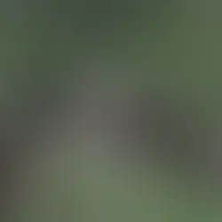 Kurdish Cultural Heritage: A Journey Through History and Preservation