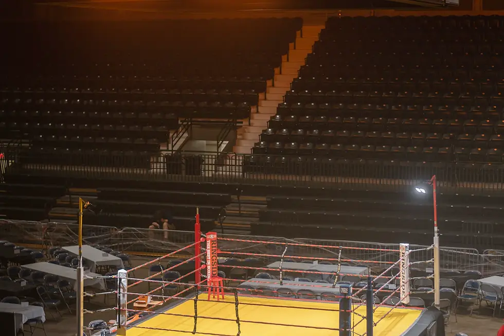 Highlighting Major MMA Organizations: UFC, Bellator, and More