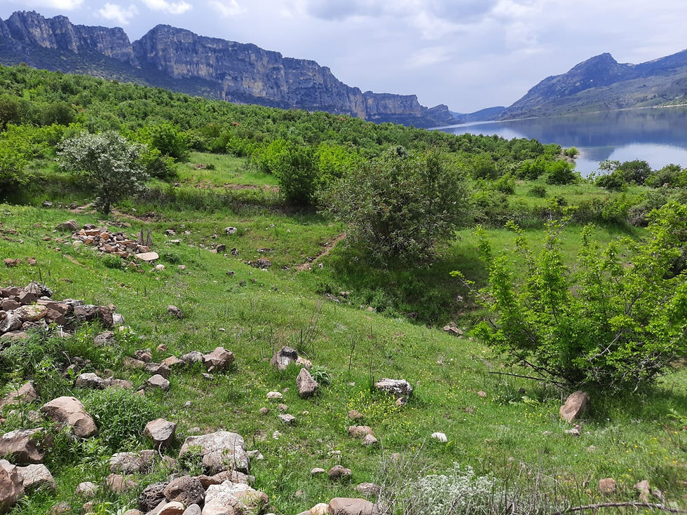 Siverek (Sêwregi): A Zaza and Kurdish Town by Karacadağ