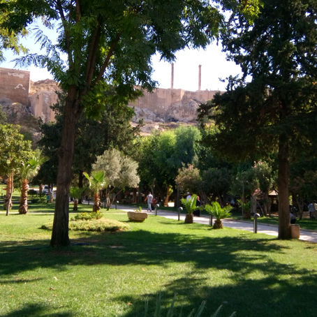 Urfa (Riha): The City of Prophets and Ancient Edessa