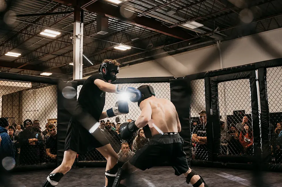 Exploring Different Combat Sports: How MMA Stands Out