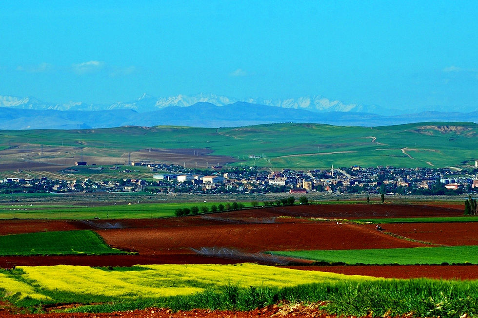 Bismil, a Kurdish town on the Tigris in the fertile plain of Diyarbakır Province