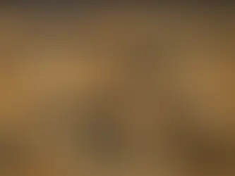 Understanding Kurdish Language and Dialects in News Reporting