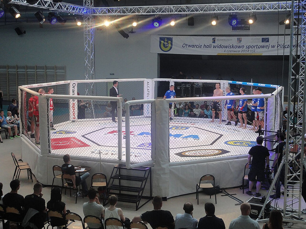 An MMA cage ahead of a busy UFC news week