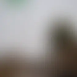 Kurdish Identity in the 20th Century: A Journey Through History