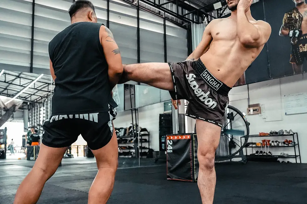 The Evolution of MMA Rules: Changes Over the Years