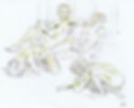Dancer 2006