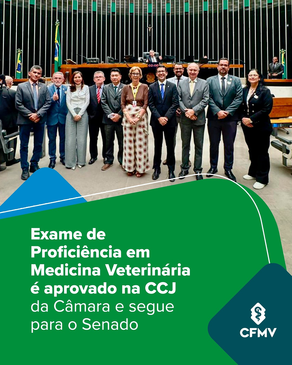 Exame de Proficiência em Medicina Veterinária avança na Câmara: o que isso significa para a profissão?