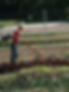 250510_Tiny_Farms_NB_142.jpg