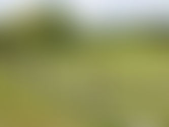 DA RATIFICAÇÃO DO REGISTRO DO IMÓVEL RURAL SITUADO NA FAIXA DE FRONTEIRA?
