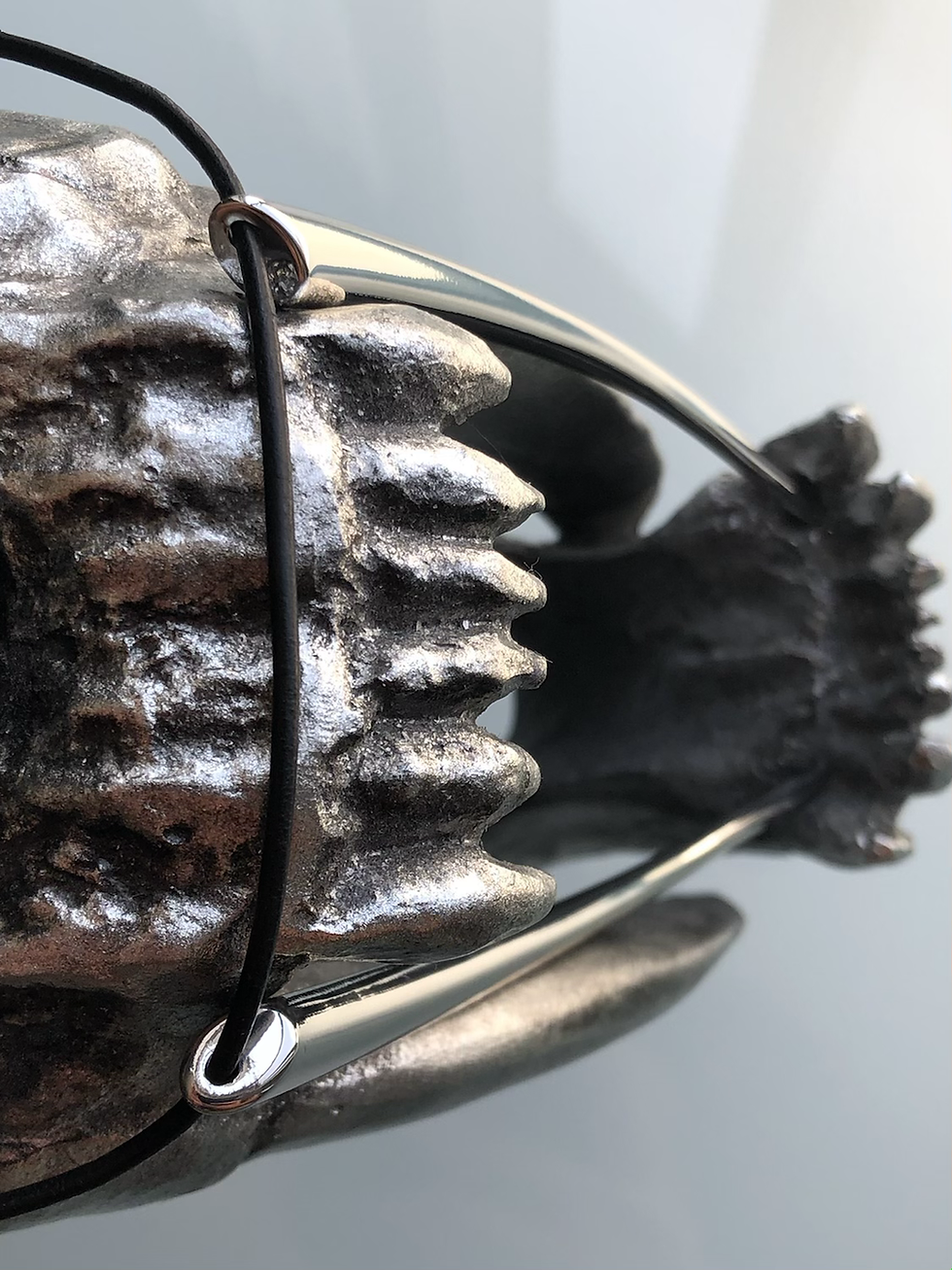 Thumbnail: Sabertooth Necklace