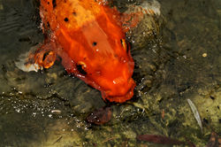 PICT0112 2
