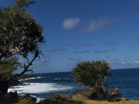 île de la réunion et le Vacoa au bord de l'océan